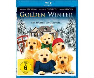 Golden Winter - We Are Looking for a Home (Blu-ray) New Original Packaging
