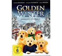 Golden Winter - Wir suchen ein Zuhause...