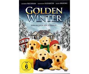 Golden Winter - Wir suchen ein Zuhause...
