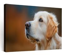 Golden Yellow Framed Canvas Picture Painting, Realistic Vintage Animal Golden Retriever Framed Wall Artwork Poster for Bedroom Living Room Hallway Stairs Kitchen Bathroom Decor, 70 x 51 cm