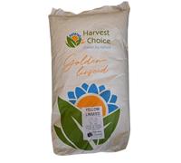 Golden/yellow Linseed (Flax seed) 25kg by Harvest Choice - High in Omega-3, Lignans, Fiber, Protein, & Essential Minerals, Roasted,Ideal for Smoothies, Baking, & Cooking