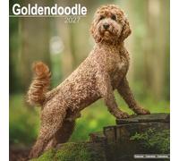 Goldendoodle 2027 Calendar | Square Wall Calendar | Dog Breed Gift | Plastic Free Packaging | by Avonside Publishing