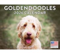 Goldendoodle Calendar 2026 Golden Doodle Monthly Wall Calender 12 Month | American Made In The USA