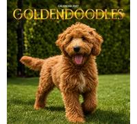 Goldendoodle Dog Calendar 2027: Golden Curls and Friendly Faces