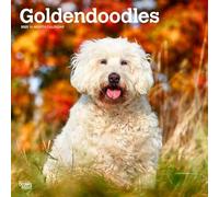 Goldendoodles 2025 12 x 24 Inch Monthly Square Wall Calendar Plastic-Free