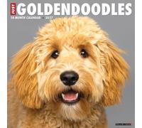 Willow Creek Press, Just Goldendoodles 2027 Wall Calendar