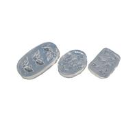 Goldenfish Nail Art Molds Silicone Stamps Goldenfish Stamping Tools for Decorations Animal Pattern Mold
