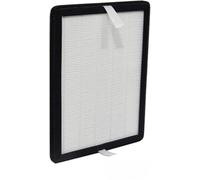 GOLDEROC 2 Pack HEPA Filter Compatible with MeacoDry Arete One 10L &12L Dehumidifier and Air Purifier 2 in 1,21x16x 1cm,H13 HEPA Filter Replacement