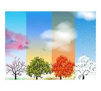GOLDFI DIY 5D Diamond Painting by Number Kits Color Tree Four Seasons Tree Paint with Diamonds Arts Supply Canvas Wall Decor 30×40cm