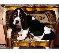 GOLDFI DIY 5D Diamond Painting by Number Kits for Adults Kids Rhinestone Embroidery Home Decor - Pet Basset Hound 40×50cm