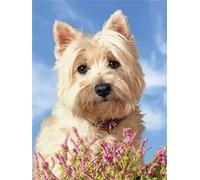 GOLDFI New Paint by Numbers for Adults Children West Highland White Terrier DIY Digital Painting by Numbers Kits On Canvas 40 * 50cm