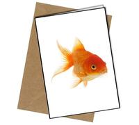 Goldfish A5 Birthday Card | Envelope Included | Blank Inside | Unique Design | Personalised Free of Charge