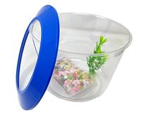 Goldfish Bowl Starter Set Gold Fish Bowl With Ornamental Plant Fish Bowl Aquarium Fish Tank Bowl Plant Gravel Kit Small Fish Tanks Blue Or Orange Zvire (Blue)