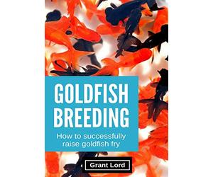 Goldfish Breeding: How to Successfully Raise Goldfish Fry