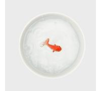 Suck UK Cat Bowls | Fish Bowl | Cat Water Bowl | Funny Animal Accessories | Ceramic Dish | Novelty Pet Supplies | Pets Prank Gift | Animal Owner Gifts | 3D Hand Painted Goldfish | Pet Humor - White