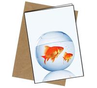 Goldfish In Bowl A5 Birthday Card | Envelope Included | Blank Inside | Unique Design | Personalised Free of Charge
