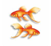 Goldfish Pair Vinyl Decals, Aquarium Stickers for Fish Tank, Tiles, Toilet | Cover Marks, Opaque Finish, No White Edges, Weatherproof, UK Manufactured, Qty:2 Use on Bins, Laptops, Walls and Cups