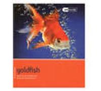 Goldfish - Pet Friendly