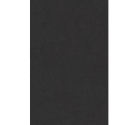 GOLDINE A4 - Coloured Card (Tiziano) - 160gsm (25 Sheets) (Black)