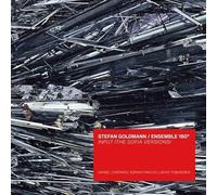 Goldmann, Stefan - Input (The Sofia Versions)