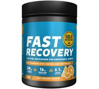 GoldNutrition Fast Recovery 600 gr Orange