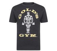 Gold's Gym Mens Ggtop009 Hooded Long Sleeve Top T-Shirt, Charcoal Marl, S EU