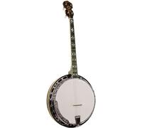 Goldtone Gold Tone Ts-250F (Tenor Special) Banjo