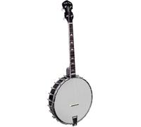 Goldtone It-250 Irish Tenor Banjo