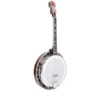 Goldtone It-250F Irish Tenor Banjo