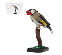 Goldtrupial Bird Clamping Blocks, Mini Building Blocks Set for Adults, Decorative Bird Model Kit, Small Gold Trupial Bird Model for Collectors and Animal Lovers (Khaki)