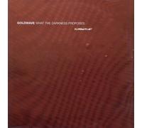 Goldwave - What the Darkness Proposes [VINYL]