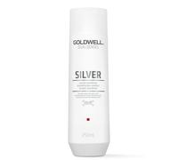 Goldwell Dualsenses Silver Shampoo 250ml - Anti-Yellow Blonde & Grey Hair Care