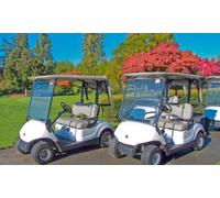 Golf Cart Protocols