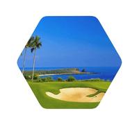 golf course by the sea Printed Coasters Set of 6, Tabletop Protection Leather Coasters for Cup Drinks Coffee Pads Beer Bar Mat Gifts, Hexagon