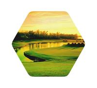 Golf Course Printed Coasters Set of 6, Tabletop Protection Leather Coasters for Cup Drinks Coffee Pads Beer Bar Mat Gifts, Hexagon