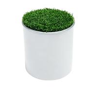 Golf Hole Cup Golf Practical Hole Aid