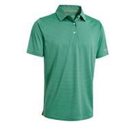 Golf Shirts for Men Dry Fit Short Sleeve Print Performance Moisture Wicking Polo Shirt, Green Stripe, XXXXXL