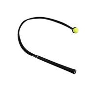 Golf Swing Trainer | 37.8 Inch Schlag Golf Trainer | Oscillating Training for Beginners and Professionals | Flexible Swing Trainer to Improve Speed, The