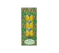 GOLOKA Nature's Nest Tea Light Candle Single pack x 10 Pcs