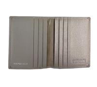 Golunski RFID Protection Real Leather Slim 16 Store Card Holder 889 for Men & Women (Grey)