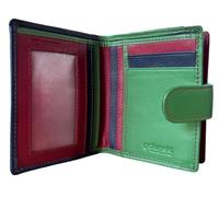 Golunski Women's Small Leather Purse, Nevada Multi