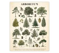 GOMAKERER 1 Pc Vintage Tree Poster Wall Decor, Botanical Wall Art Print Retro Rustic Canvas Painting for Living Room Bedroom Home Decorations 11x13.8 Inches Unframed