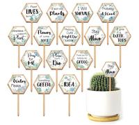 GOMAKERER 15 Pcs Hexagonal Funny Plant Markers, Water Please Pray for Me Plant Labels Wood Greenery Garden Tags for Vegetable Flower Herb Succulent Seedling Potted 2.5x4.7inch(6.35x12cm)
