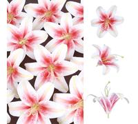 GOMAKERER 30 Sets Pink Lilies Artificial Flowers, Large Fake Lilies Flower Realistic Lily Petals with Detachable Stamens for Wedding Bouquets, Home Decor, DIY Crafts & Floral Arrangement