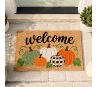 GOMAKERER Fall Pumpkin Doormat, 17x30 Inch Autumn Welcome Door Mat Thanksgiving Decor PP Fiber Mat Rectangle Heavy-Duty Entry Rug Indoor Outdoor Entrance Floor Rug for Home Patio Garage