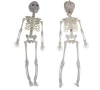 Gomice Posable Skeleton Figure - Indoor Posable Skeleton Full Body with Movable Joint - Figure for Halloween Props Spooky Party Decoration