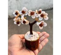 Gomti Chakra Rudraksh Tree Healing Gemstone Crystal Bonsai Fortune Money Tree for Good Luck, Wealth & Prosperity Home Office Kitchen Décor