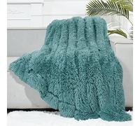 GONAAP Fuzzy Faux Fur Throw Blanket Twin Size Light Teal Super Soft Cozy Plush Fuzzy Shaggy Blanket for Couch Sofa Bed (Light Teal, Twin(60"x80"))