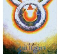Gone to Earth by DAVID SYLVIAN (2007-05-03)