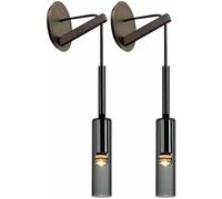 GONGKAI Creative Smoke Gray Glass Wall Light Beer Bottle Crystal Lamp Cylindrical Long Tube Sconce Brass Adjustable Height Mount Lighting for Bedroom Living Room Hallway,2-Pack